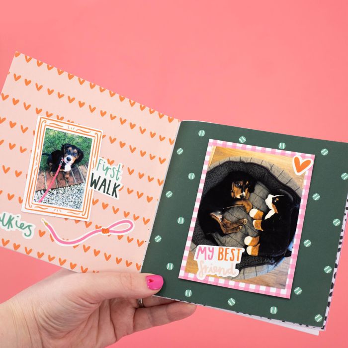 Violet Studio Best In Show Puppy Scrapbook Kit