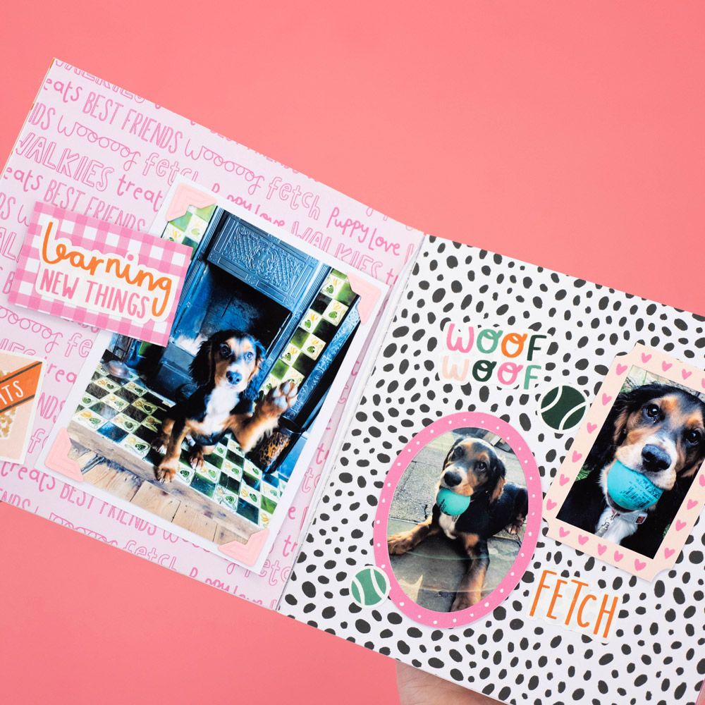 Violet Studio Best In Show Puppy Scrapbook Kit