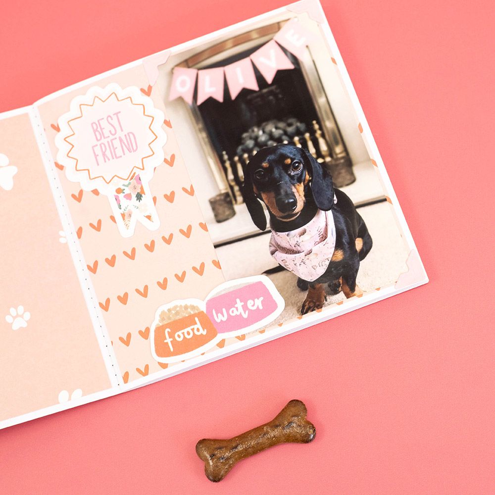 Violet Studio Best In Show Puppy Scrapbook Kit