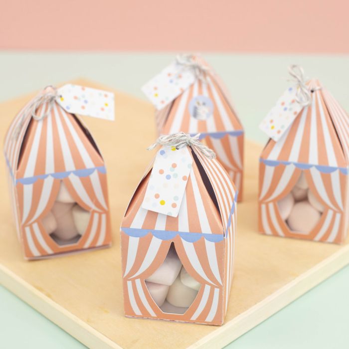 Violet Studio Little Circus Treat Boxes