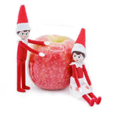 The Elf on the Shelf - World’s Smallest Elf on the Shelf Boy