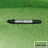 Watercolour Markers Hookers Green 311