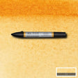 Watercolour Markers Raw Sienna 552