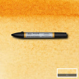 Watercolour Markers Raw Sienna 552