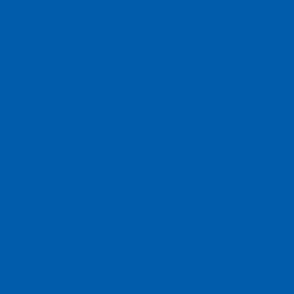 W/N PIGMENT MARKER- ROYAL BLUE
