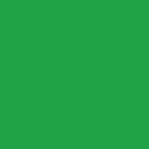 W/N PIGMENT MARKER- BRIGHT GREEN