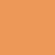 Winsor & Newton Promarker - Ginger O136