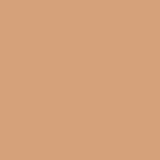 Cinnamon - Promarker Brush - Winsor & Newton