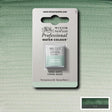 Terre Verte Half Pan - S1 Professional Watercolour