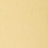 AOC 200ml Naples Yellow Light