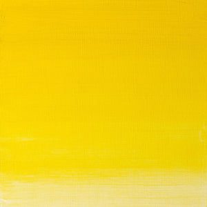 37ml Winsor Yellow - Artists' Oil