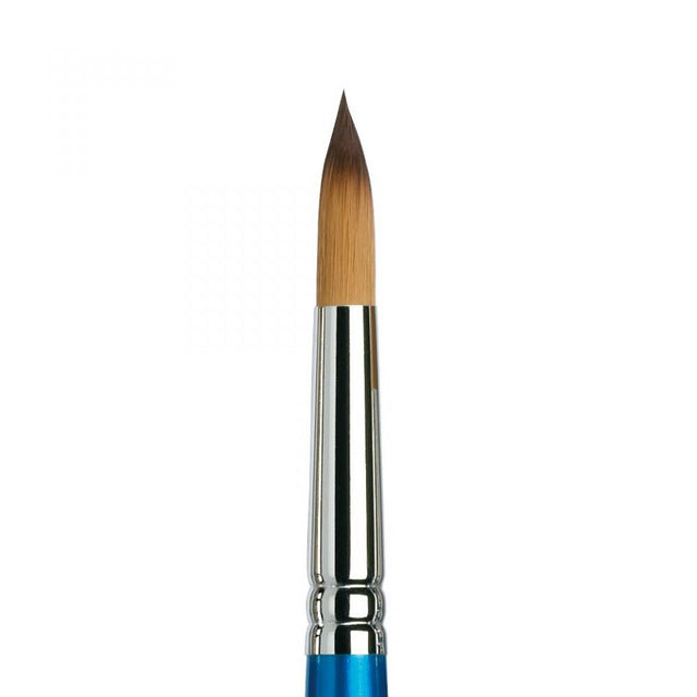 COTMAN 111 NO 5                                   