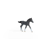 Schleich Trakehner Foal