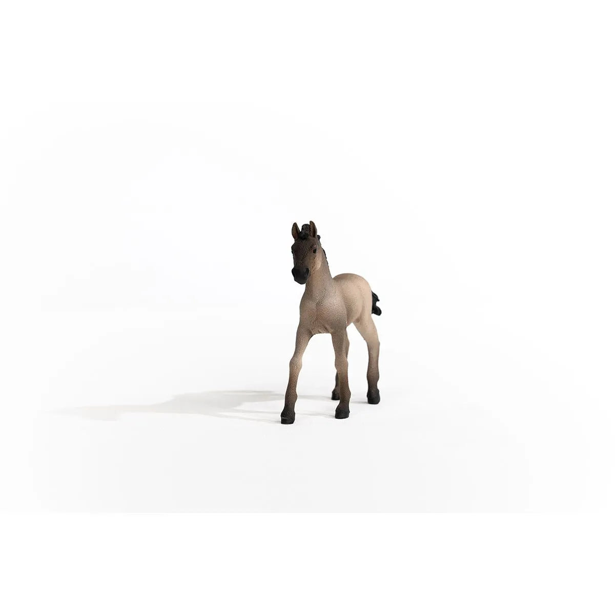Schleich Criollo Definitivo Foal