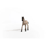 Schleich Criollo Definitivo Foal
