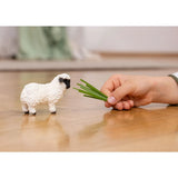 Schleich Valais Black-nosed Sheep
