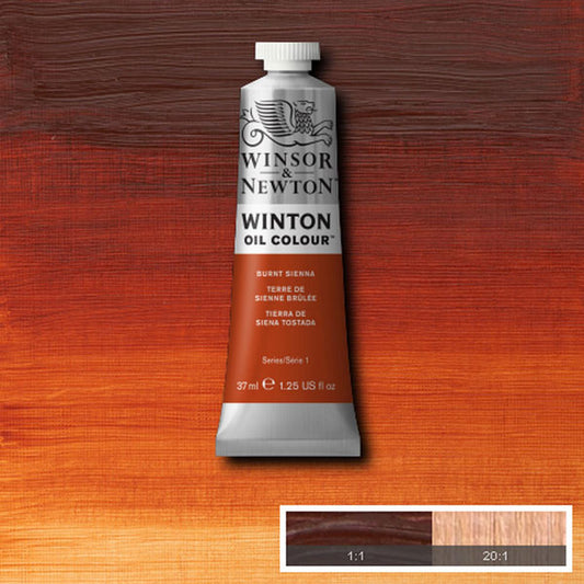 Winton Oil Colour Burnt Sienna 37ml