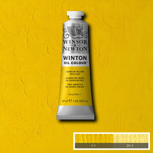 Winton Oil Colour Cadmium Yellow Pale Hue 37ml