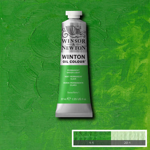 Winton Oil Colour Permanent Green Light 37ml