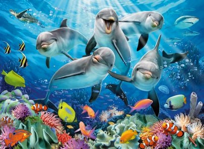 Dolphins 500 Piece Jigsaw Puzzle