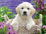 Sweet Golden Retriever, 500 Piece Jigsaw Puzzle