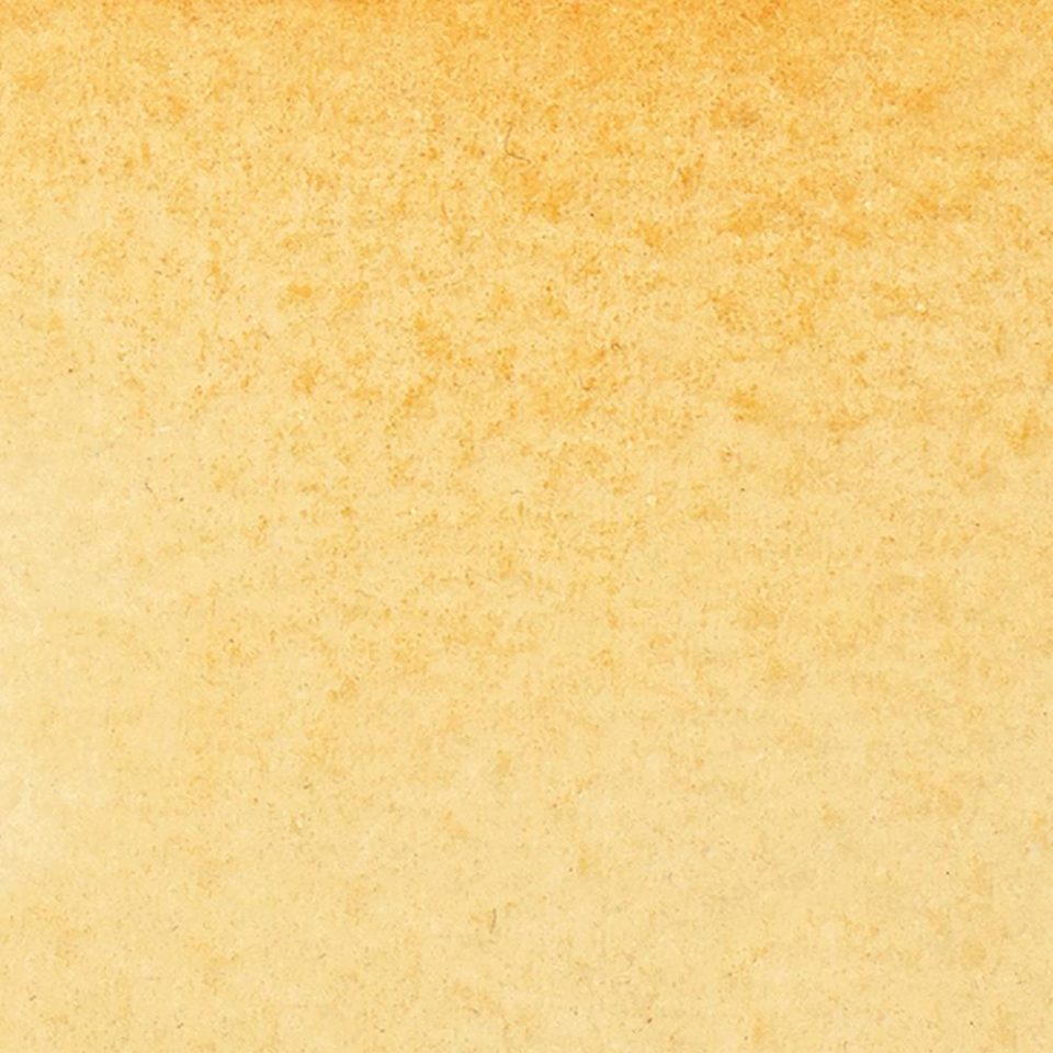 Watercolour Markers Raw Sienna 552