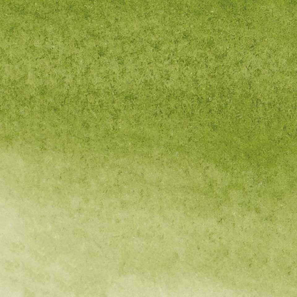Watercolour Markers Sap Green 599