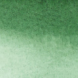 Watercolour Markers Hookers Green Dark 312