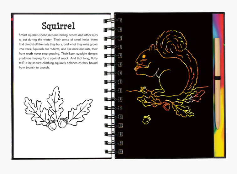 Forest Friends Scratch and Sketch