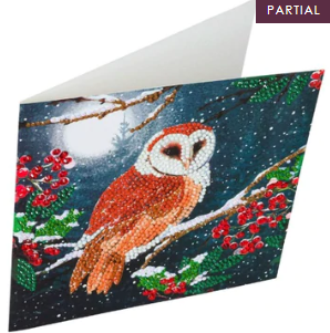 barn Owl 18x18cm Crystal Art Card