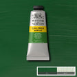 Galeria Acrylic Sap Green 60ml