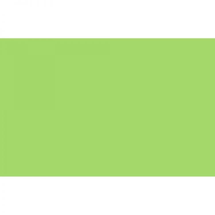 Liquitex Spray Paint - Brilliant Yellow Green