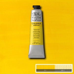 Galeria Acrylic Cadmium Yellow Medium Hue 200ml