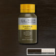 Galeria Acrylic Raw Umber 500ml