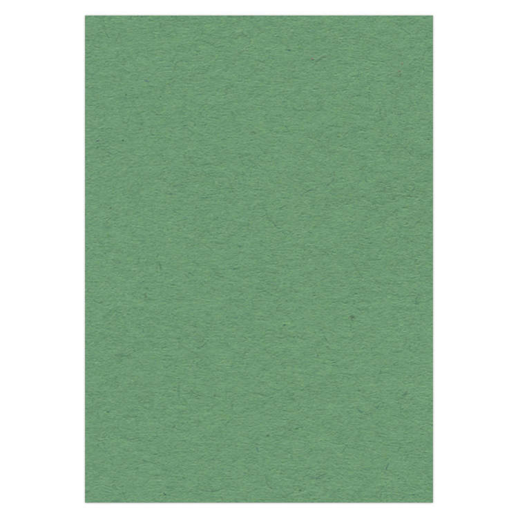 A4 Green Photo Cardstock 270 grs 10 sheets