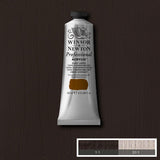 60ml Burnt Umber - Professional Acrylic