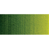 60ml Permanent Sap Green - Professional Acrylic