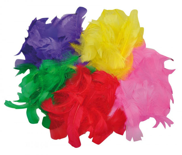 Feathers 9gram mix colours