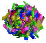 Guinea hen feathers 100 pcs