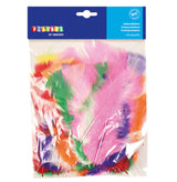 Turkey feathers 60pcs big