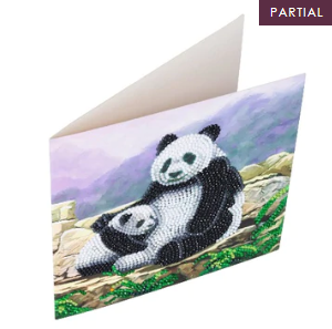 Panda Crystal Card Kit