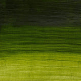 Artisan Water Mixable Oil Colour Permanent Sap Green 37ml Tube