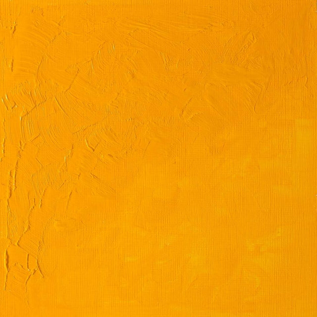 37ml Cadmium Yellow - Artists' Oil