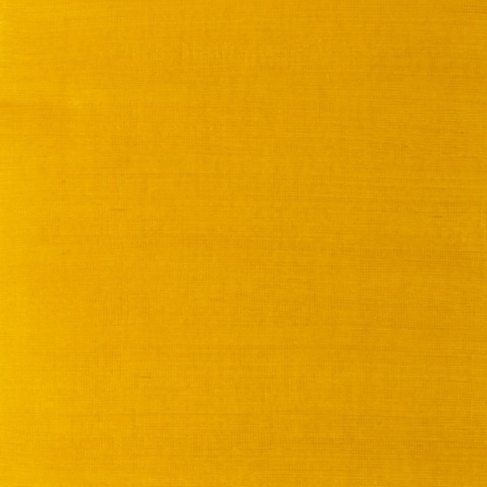 37ml Yellow Ochre Light - Artists' Oil