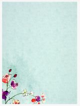 Writing Set Fuchsia Blooms