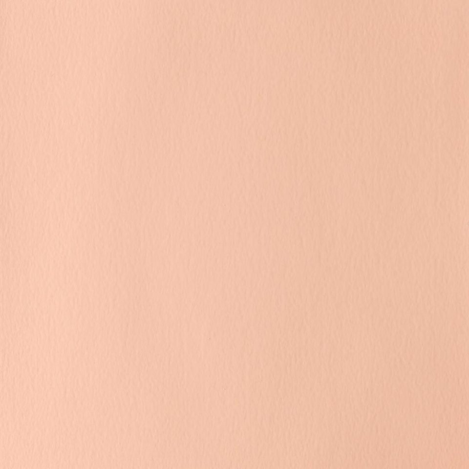 14ml Pale Rose Blush - Designers Gouache