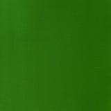 14ml Sap Green - Designers Gouache
