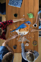 I AM BLUEBIRD 300pc