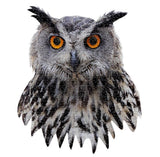 I AM LIL OWL  550pc