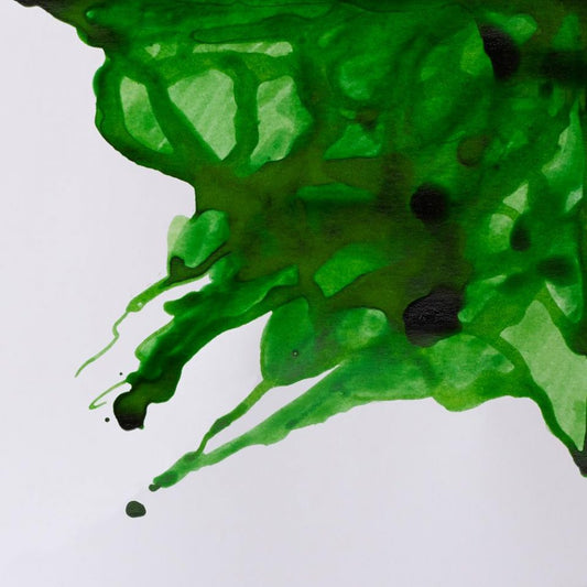 Winsor & Newton- Drawing Ink - 14ml Apple Green